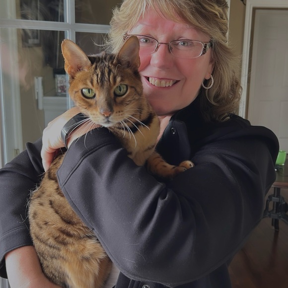 Meet your Posher, Cat - Picture 12 of 14